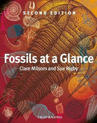 Fossils at a Glance by Clare Milsom
