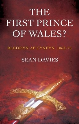 First Prince of Wales? book