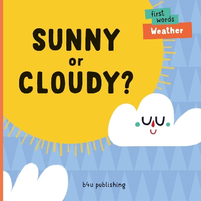 Sunny or Cloudy? book