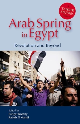 Arab Spring in Egypt book