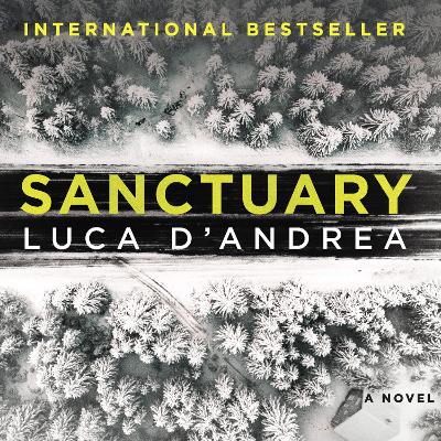 Sanctuary: A Novel book