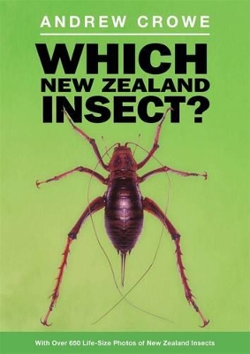 Which New Zealand Insect? book