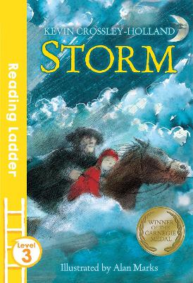 Storm book