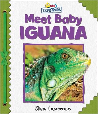 Active Minds Explorers: Meet Baby Iguana book