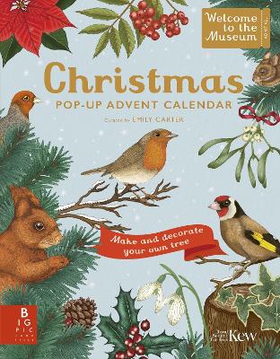 Welcome to the Museum: A Christmas Pop-Up Advent Calendar book