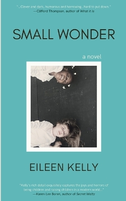 Small Wonder book