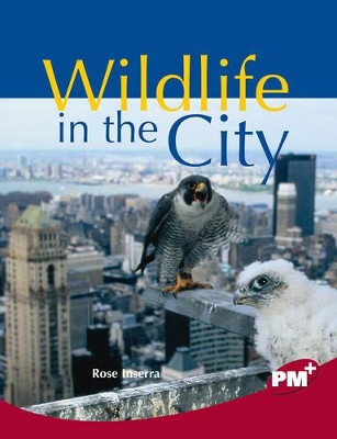 Wildlife in the City book