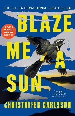 Blaze Me a Sun: A Novel About a Crime book