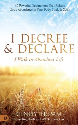 I Decree and Declare: I Walk in Abundant Life book