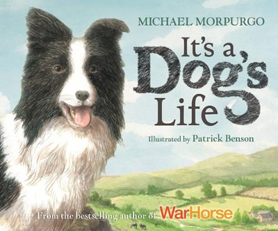 It's a Dog's Life book