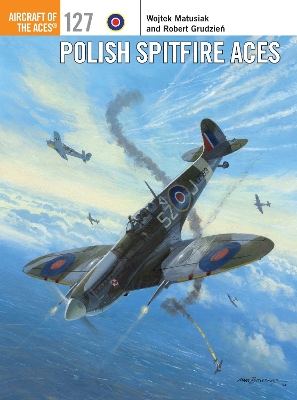 Polish Spitfire Aces book