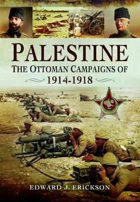 Palestine by Edward J Erickson