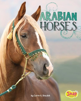 Arabian Horses book