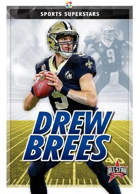 Drew Breess book