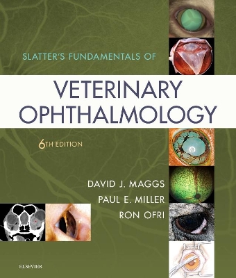 Slatter's Fundamentals of Veterinary Ophthalmology book