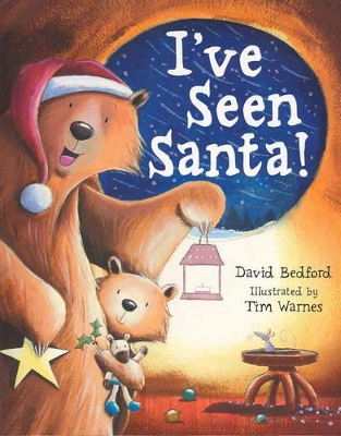 I've Seen Santa! book