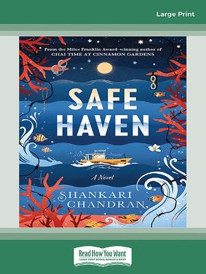 Safe Haven book