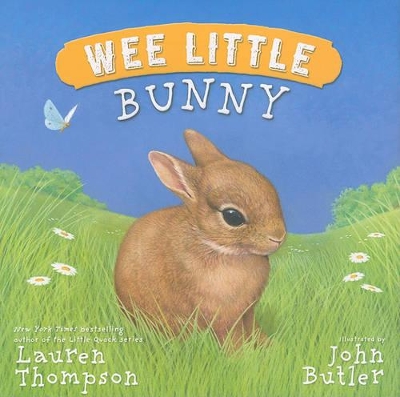 Wee Little Bunny book