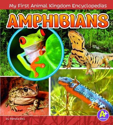 Amphibians (My First Animal Kingdom Encyclopedias) by Emma Bernay