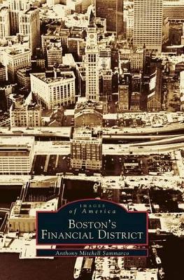 Boston's Financial District book