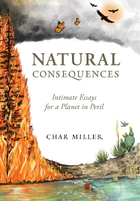 Natural Consequences book