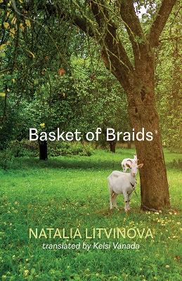 Basket of Braids: Cesto de trenzas book