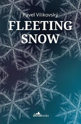 Fleeting Snow book