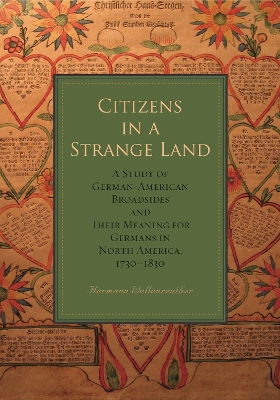 Citizens in a Strange Land book