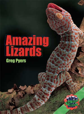 Rigby Literacy Collections Level 3 Phase 1: Amazing Lizards (Reading Level 25-28/F&P Levels P-S) book