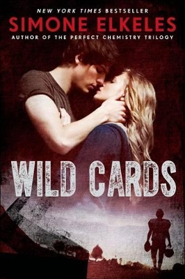 Wild Cards book