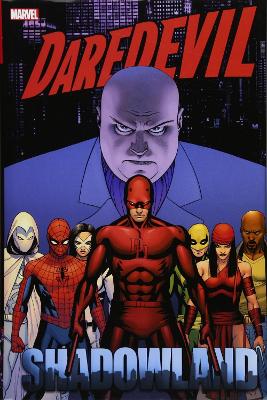 Daredevil: Shadowland Omnibus by Andy Diggle