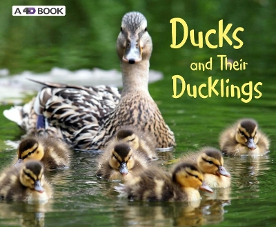Ducks and Their Ducklings book