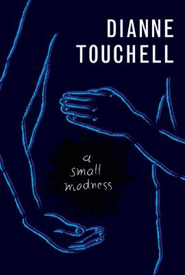 Small Madness by Dianne Touchell