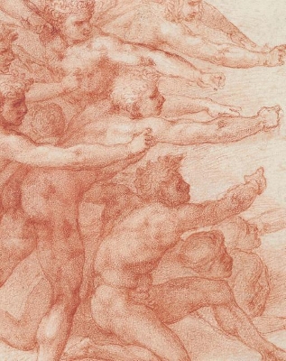 Michelangelo - Divine Draftsman and Designer book