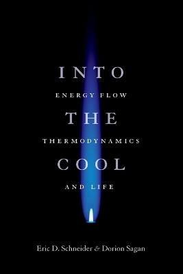 Into the Cool by Eric D. Schneider
