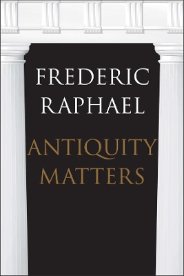 Antiquity Matters book