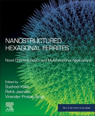 Nanostructured Hexagonal Ferrites: Novel Characteristics and Multifunctional Applications book