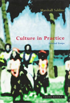 Culture in Practice - Collected Essays book