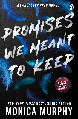 Promises We Meant To Keep: The emotionally gripping and swoon-worthy TikTok sensation book