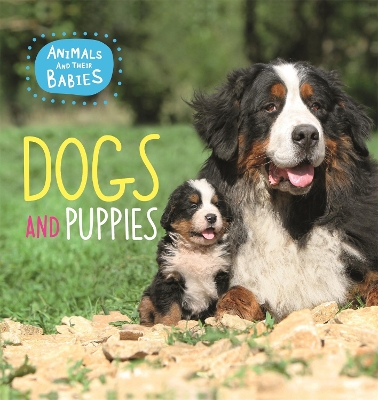 Animals and their Babies: Dogs & puppies by Annabelle Lynch