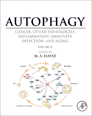 Autophagy: Cancer, Other Pathologies, Inflammation, Immunity, Infection, and Aging by M. A. Hayat