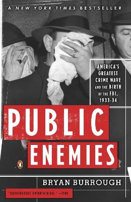 Public Enemies: America's Greatest Crime Wave and the Birth of the FBI, 1933-34 book