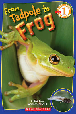 From Tadpole to Frog book