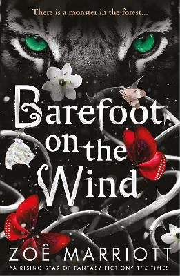 Barefoot on the Wind book