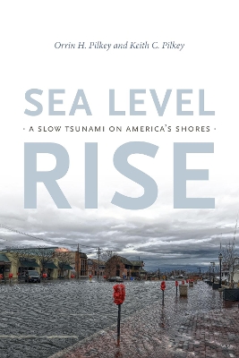 Sea Level Rise: A Slow Tsunami on America's Shores book