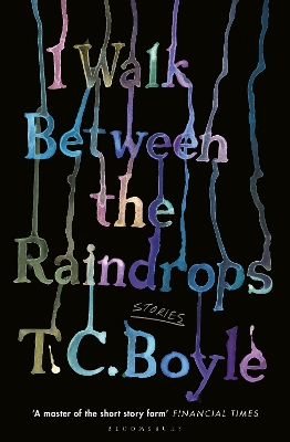 I Walk Between the Raindrops book