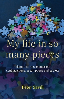 My life in so many pieces book