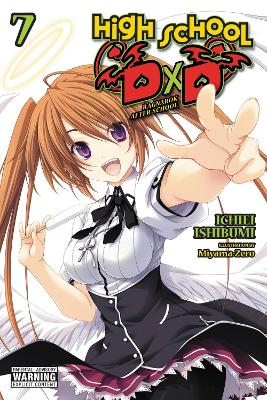 High School DxD, Vol. 7 (light novel) book