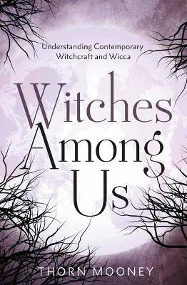 Witches Among Us: Understanding Contemporary Witchcraft and Wicca book