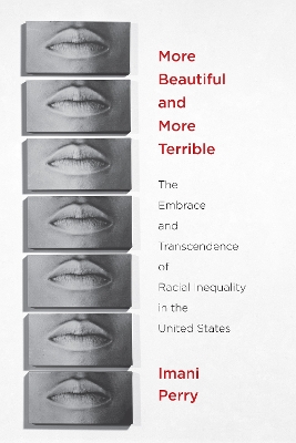 More Beautiful and More Terrible by Imani Perry